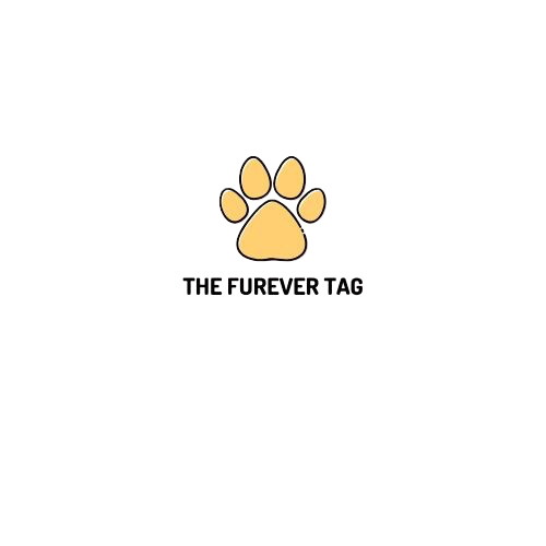 yellow-paw-with-black-border-logo